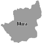 Mura