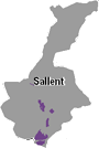 Sallent